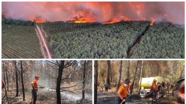 FONDS D'URGENCE : Incendies de Forets, soutien aux Réserves Communales de Sécurité Civile - AOUT 2022